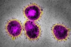 Hva betyr coronaviruset for iGaming bransjen?